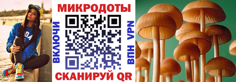 Купить  Туапсе  Галлюциногенные грибы Psilocybe 